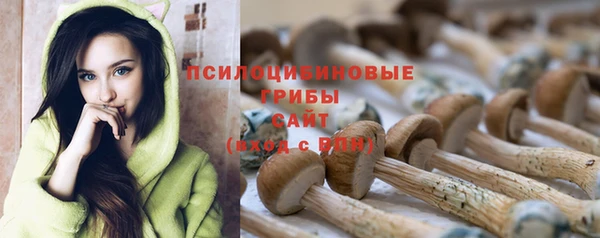 метадон Алексин