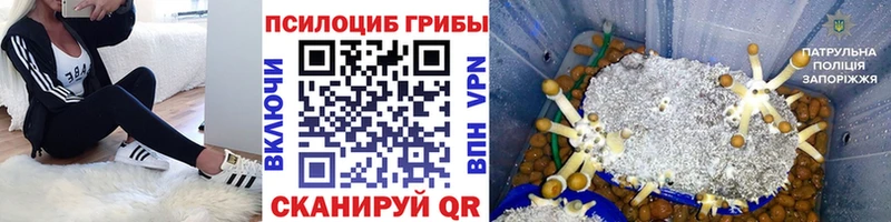 Псилоцибиновые грибы ЛСД  Нефтегорск 